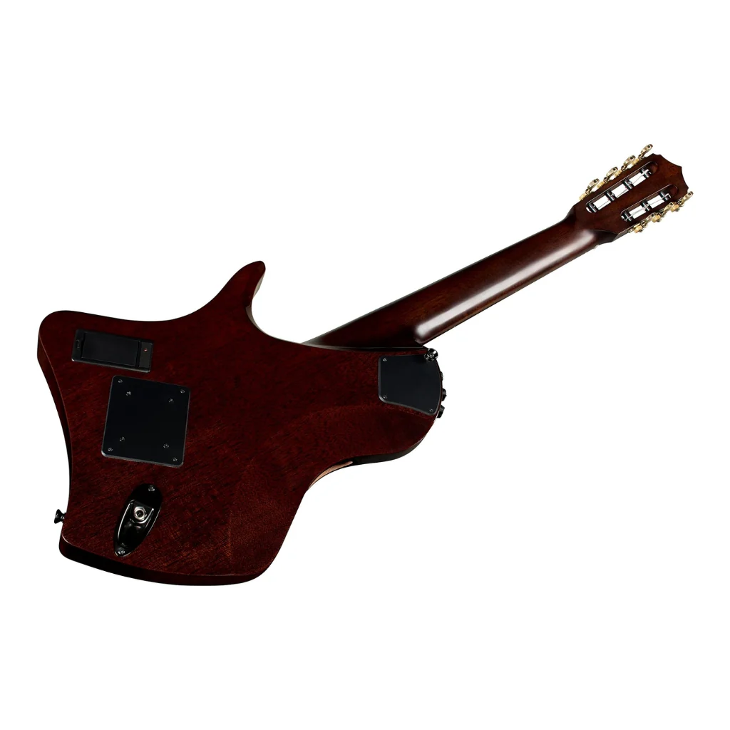 Abasi Stage 7 Nylon-String Acoustic-Electric Guitar - Ziricote - Image 10