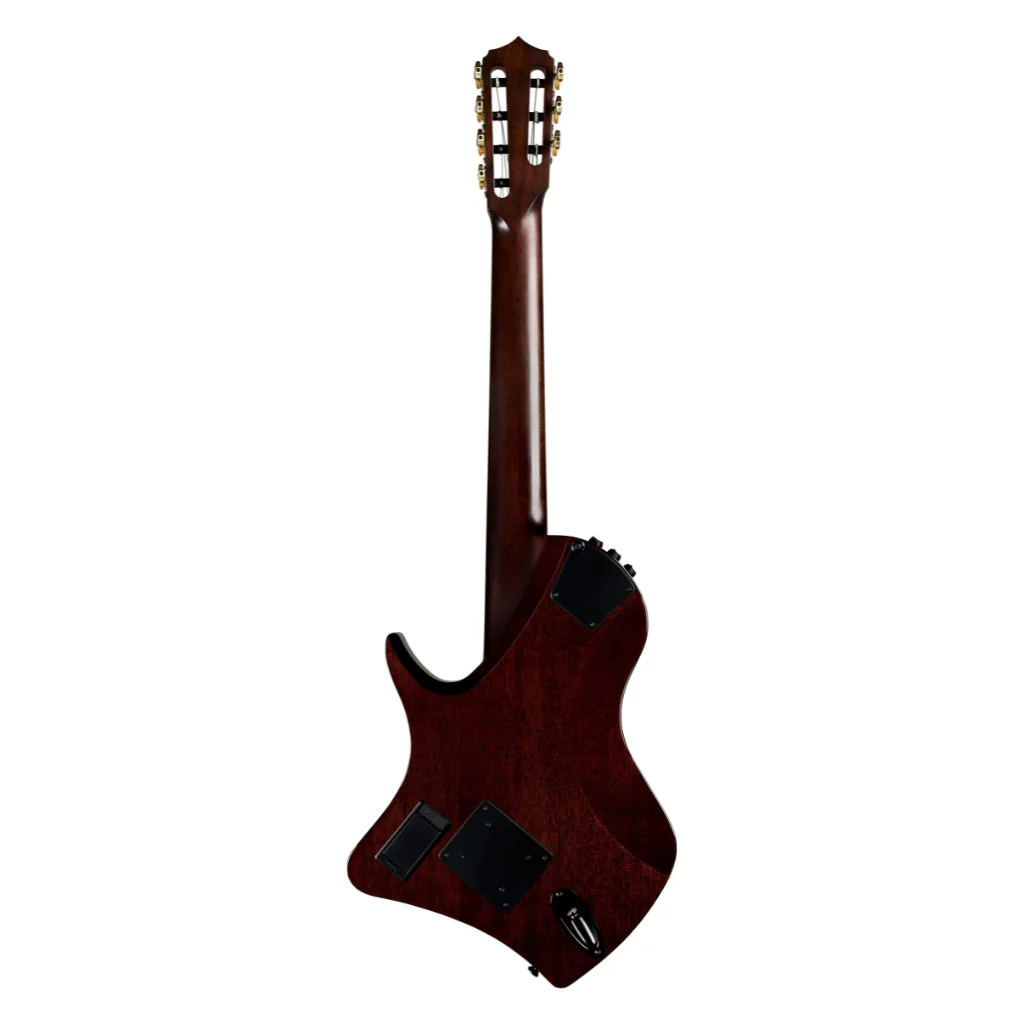 Abasi Stage 7 Nylon-String Acoustic-Electric Guitar - Ziricote - Image 5