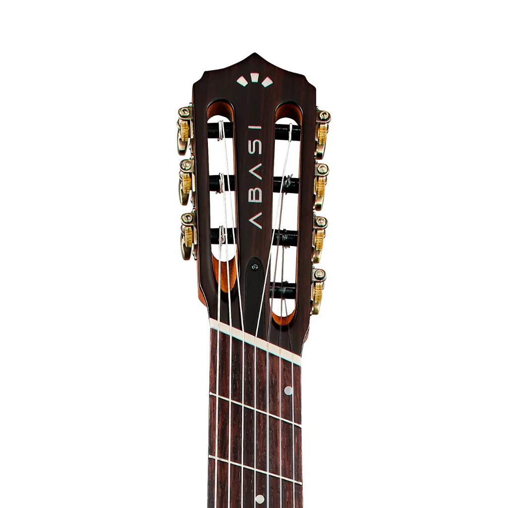 Abasi Stage 7 Nylon-String Acoustic-Electric Guitar - Ziricote - Image 7