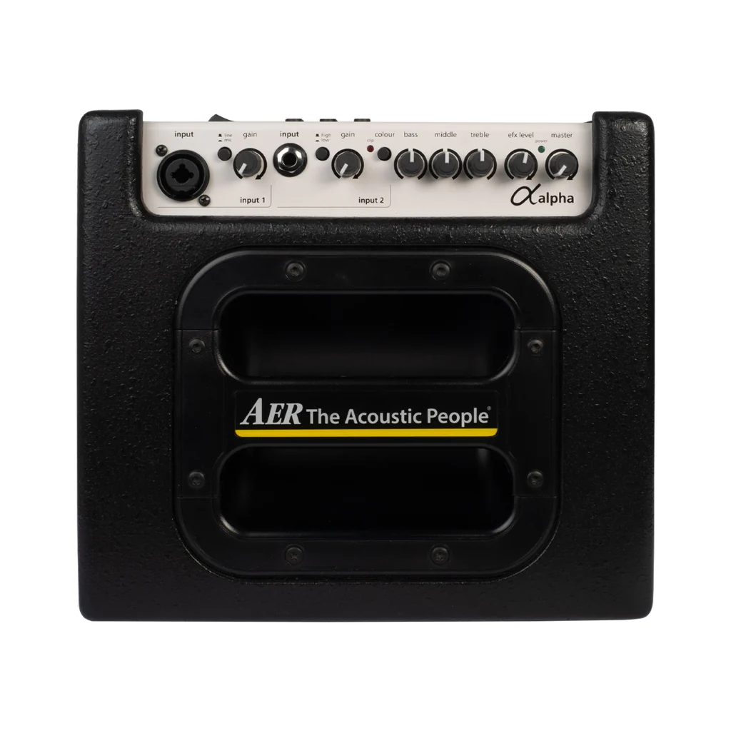 AER Alpha 40-watt 1x8-inch Acoustic Instrument Combo Amplifier - Image 2