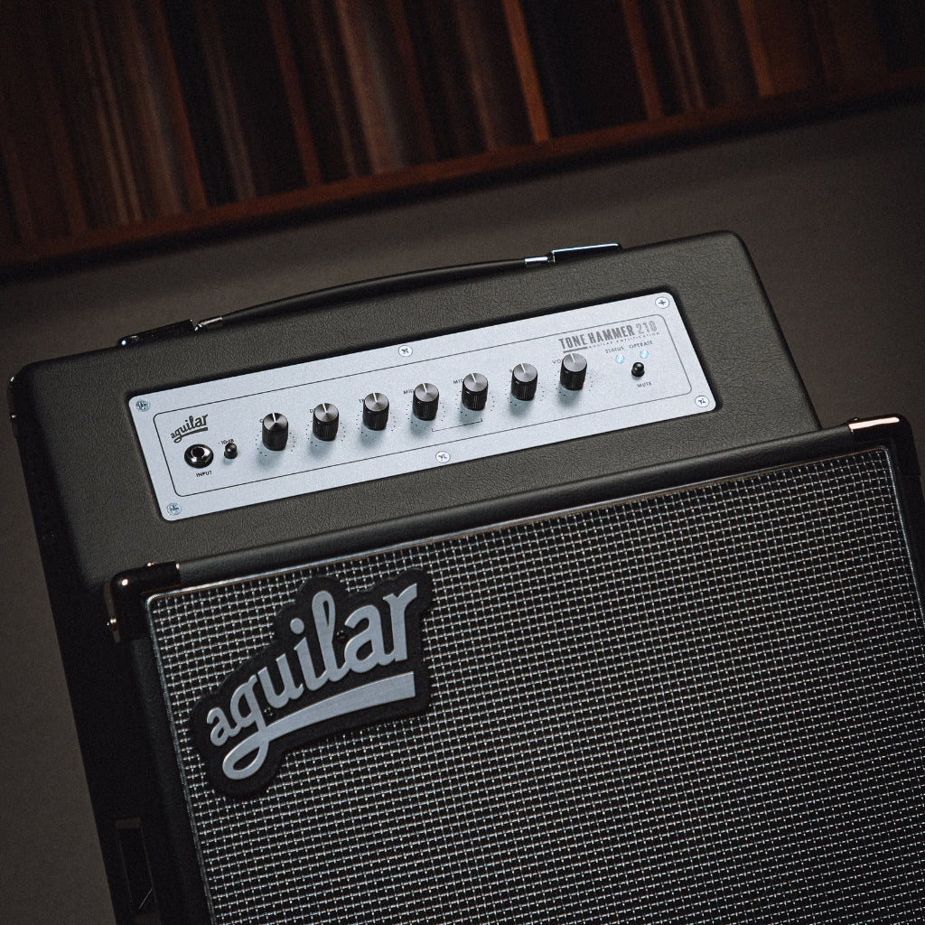 Aguilar Tone Hammer 210 300-watt, 2 x 10-inch Combo Amplifier - Image 5