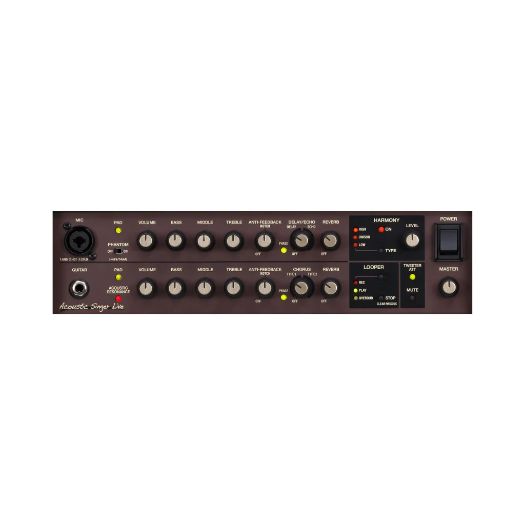 Boss Acoustic Singer Live 60-watt Bi-amp Acoustic Combo with FX - Image 2