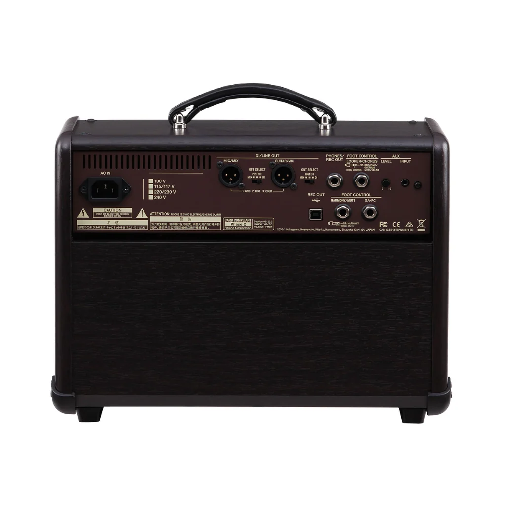 Boss Acoustic Singer Live 60-watt Bi-amp Acoustic Combo with FX - Image 3