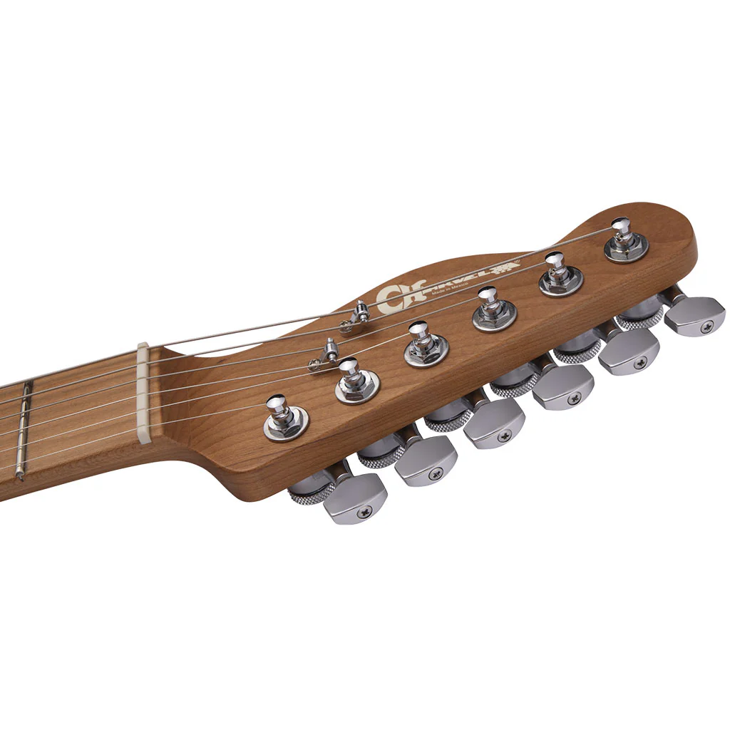 Charvel Pro-Mod So-Cal Style 2 24 HH 2PT CM Ash - Natural Ash - Image 4
