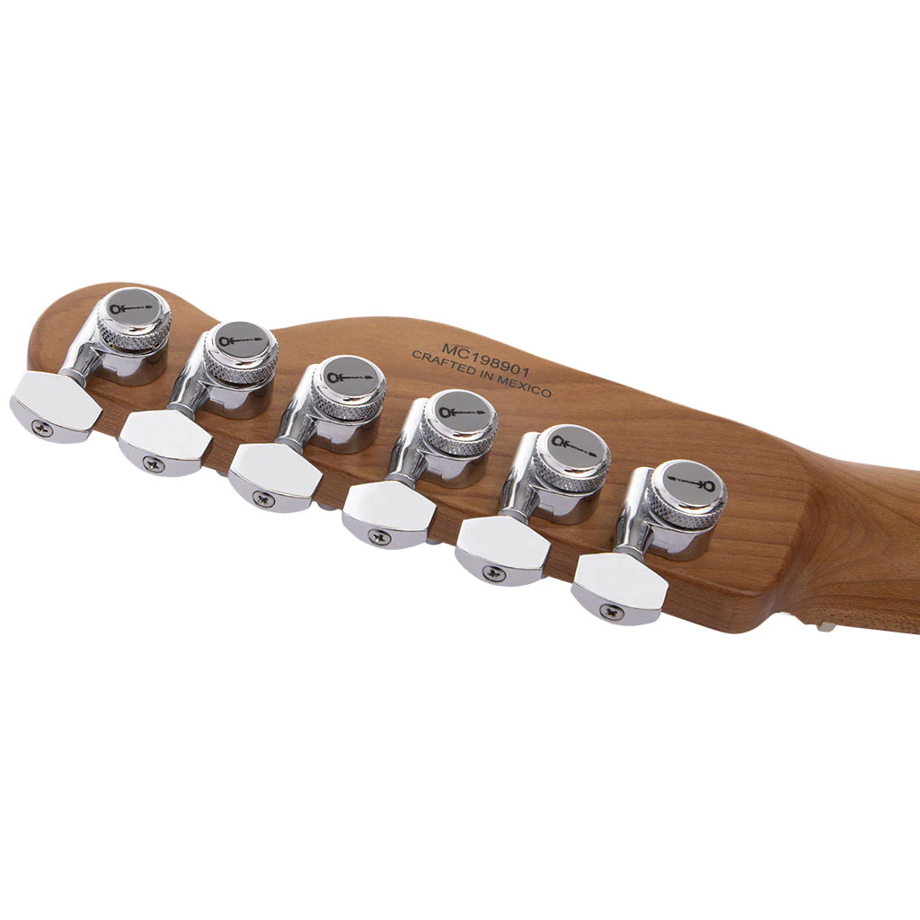 Charvel Pro-Mod So-Cal Style 2 24 HH 2PT CM Ash - Natural Ash - Image 5