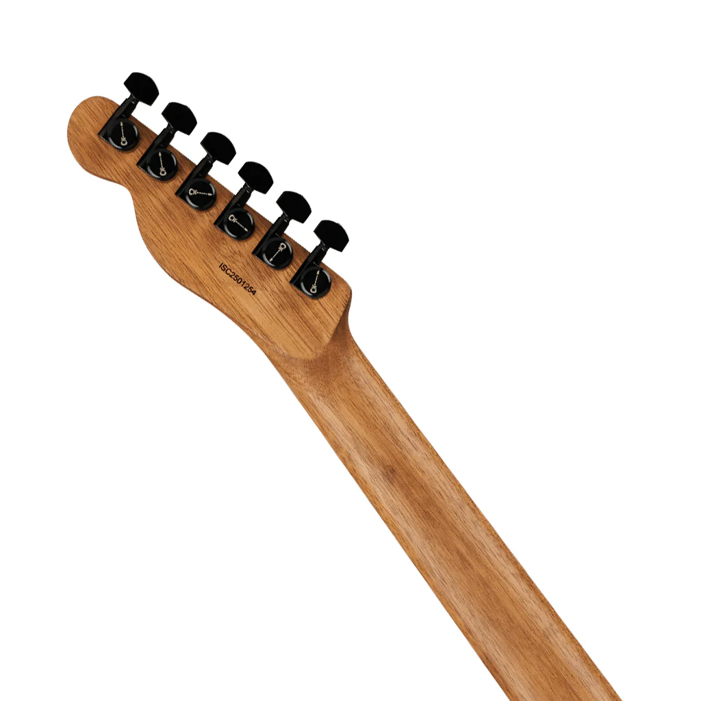Charvel Standard Series San Dimas Style-2 SD2 HH HT Electric Guitar - Gloss Black - Image 6