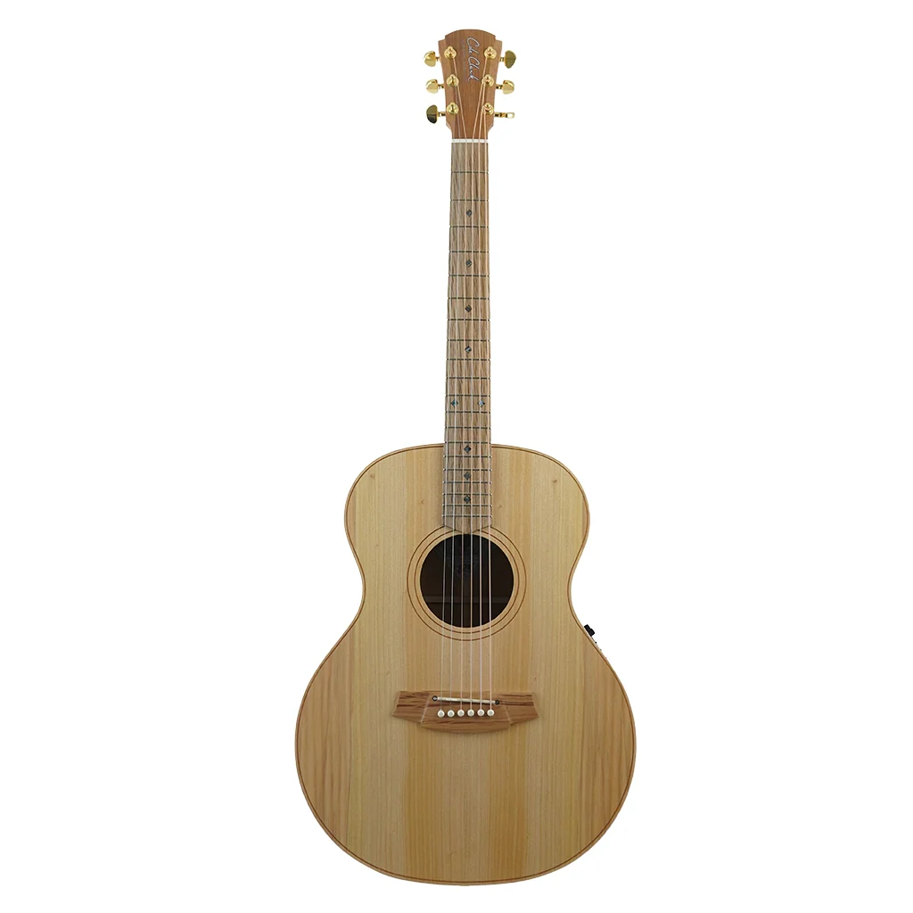 Cole Clark AN2E LH - Bunya Top, Maple B&S - Image 3