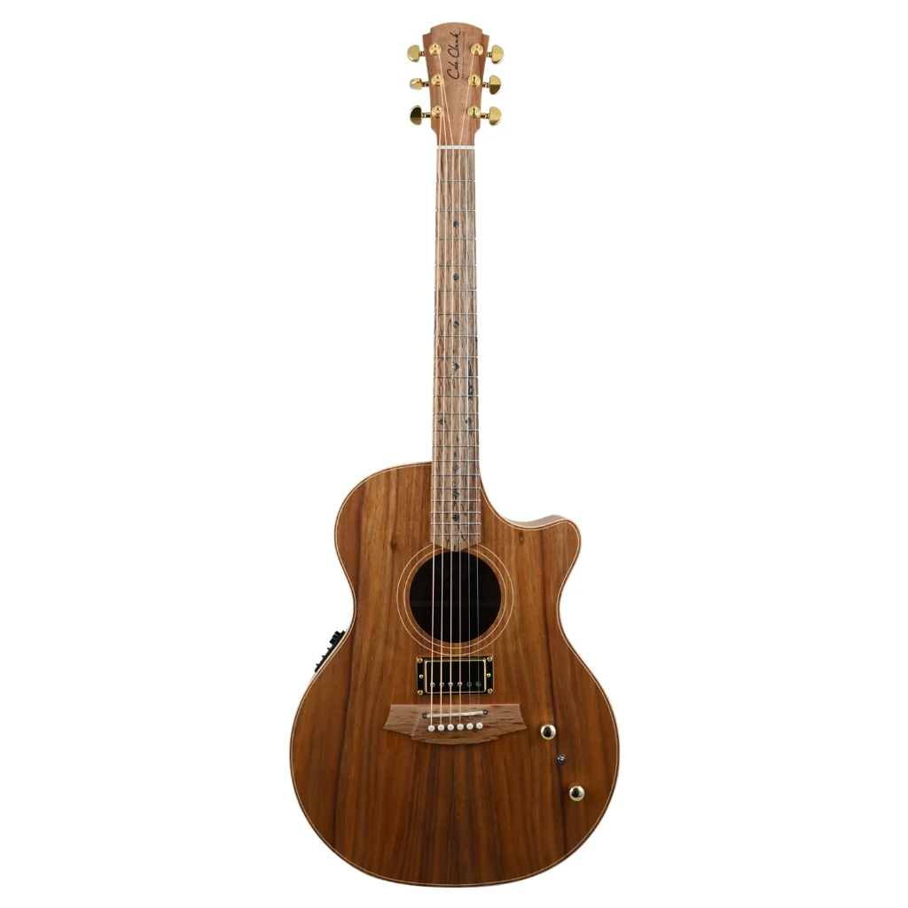 Cole Clark AN2EC-BLBL Humbucker - All Blackwood - Image 2