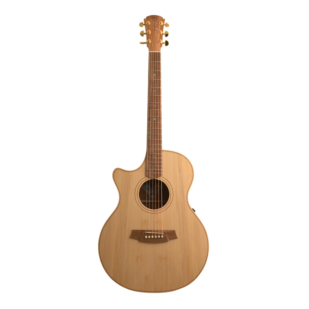 Cole Clark AN2EC LH - Bunya Top, Blackwood Back and Sides - Image 2