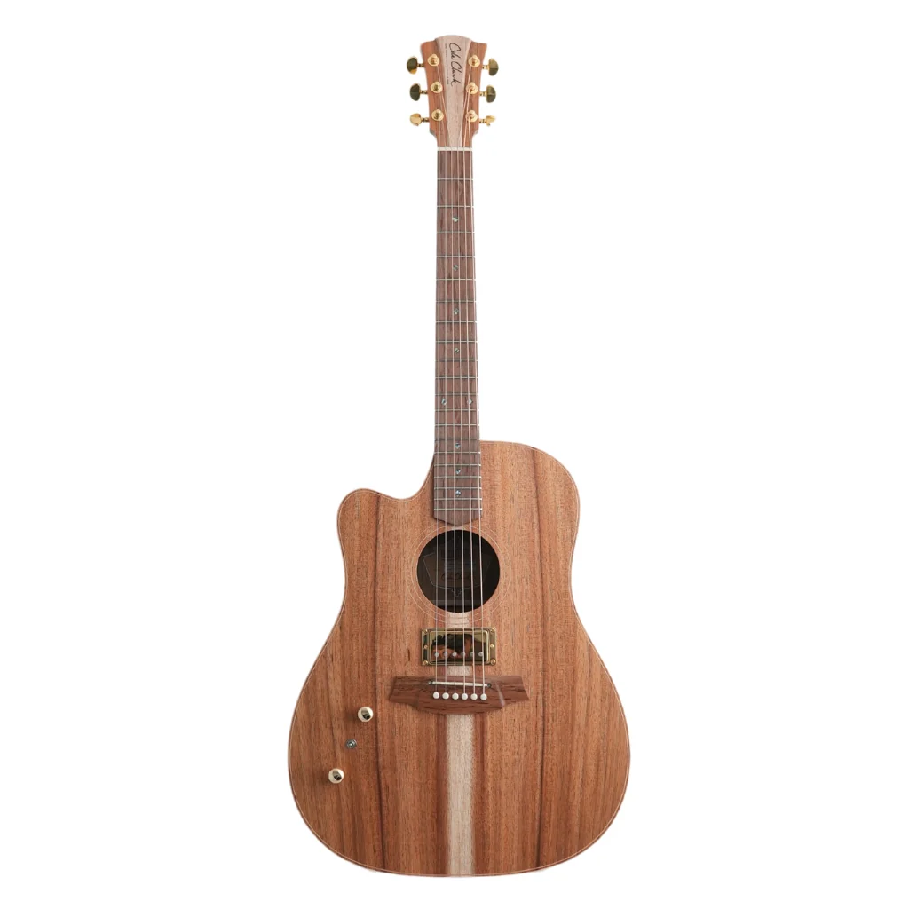 Cole Clark FL2EC All Blackwood HB Left Handed Acoustic/Electric Guitar - Image 2