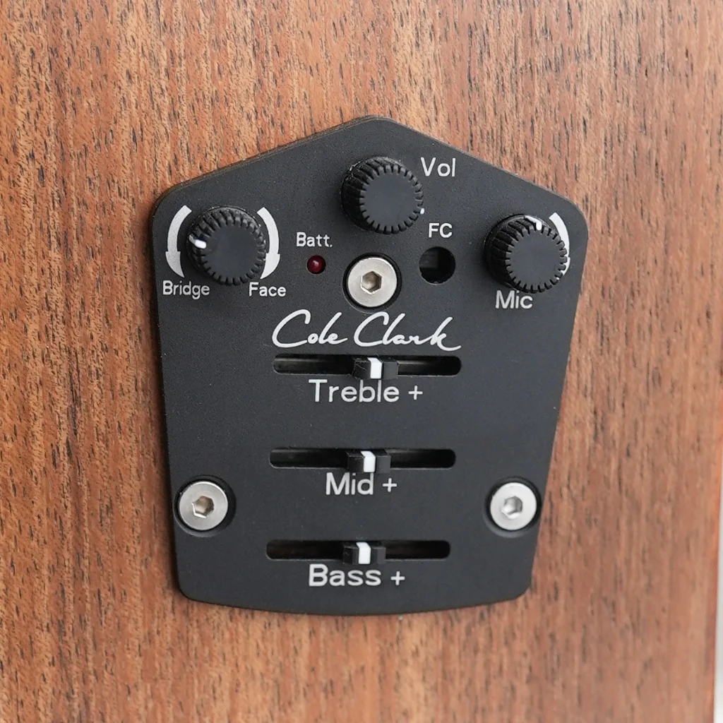 Cole Clark FL2EC All Blackwood HB Left Handed Acoustic/Electric Guitar - Image 7