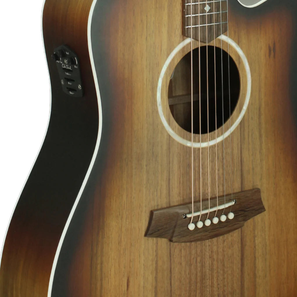 Cole Clark FL2EC - All Blackwood - Sunburst - Image 7
