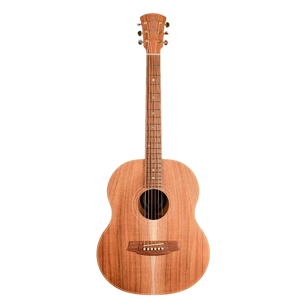 Cole Clark LL2E-BLBL Little Lady 2E Acoustic Guitar - All Blackwood - Image 2