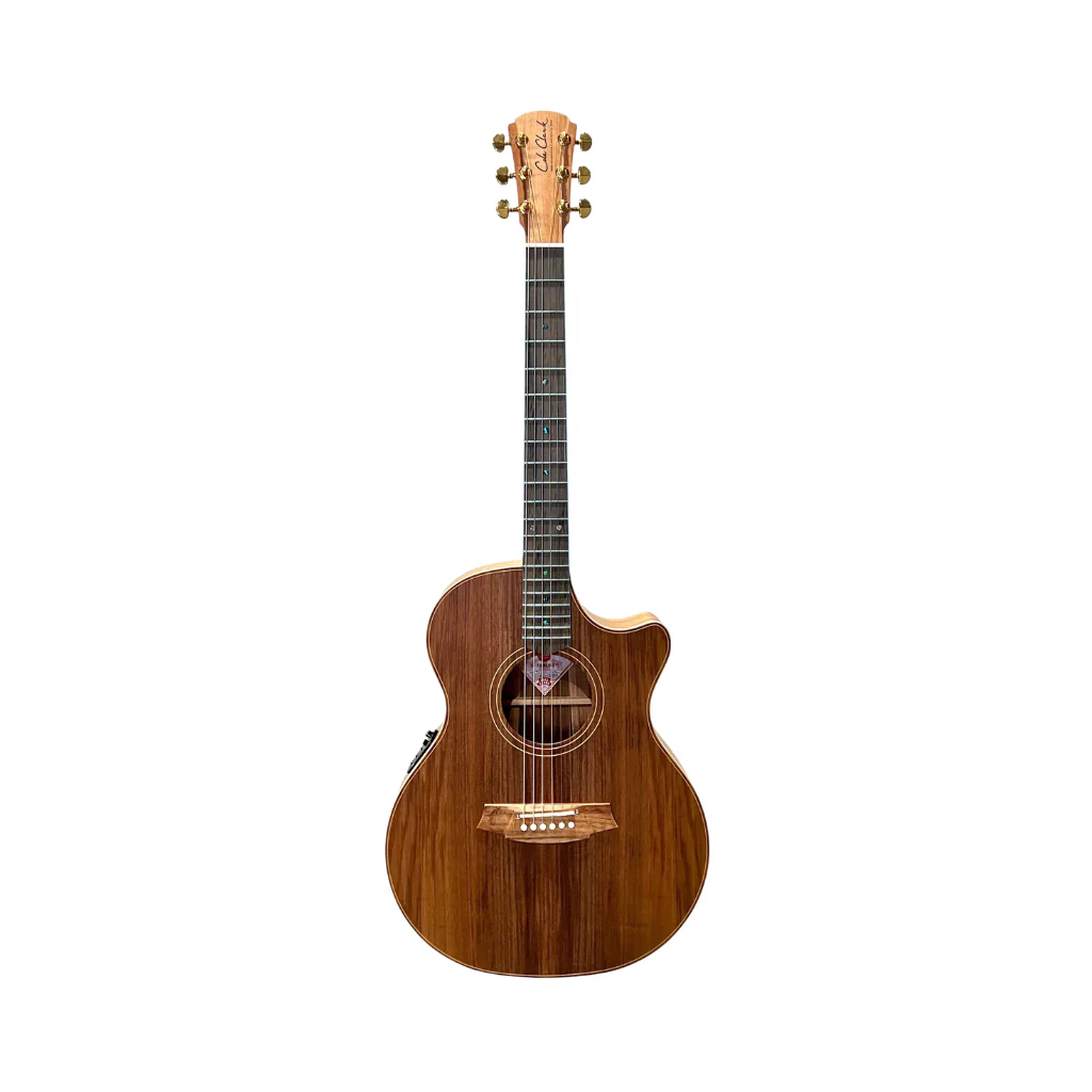 Cole Clark Thinline Cutaway Acoustic/Electric Guitar - All Blackwood, Rosewood Fingerboard - Image 2