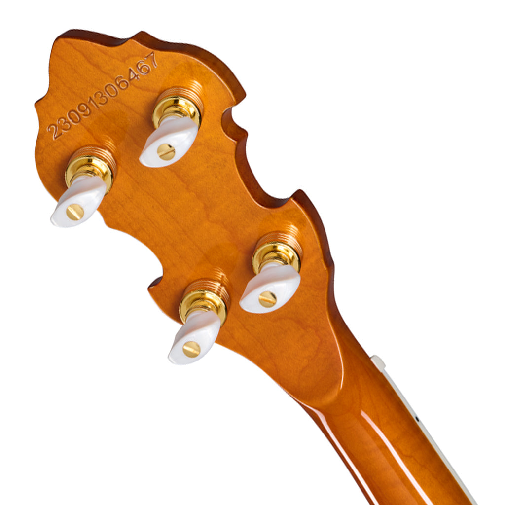 Epiphone Earl Scruggs Golden Deluxe Banjo Vintage Sunburst - Image 5