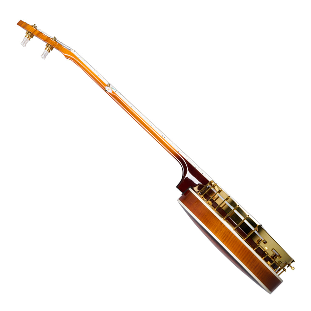 Epiphone Earl Scruggs Golden Deluxe Banjo Vintage Sunburst - Image 6