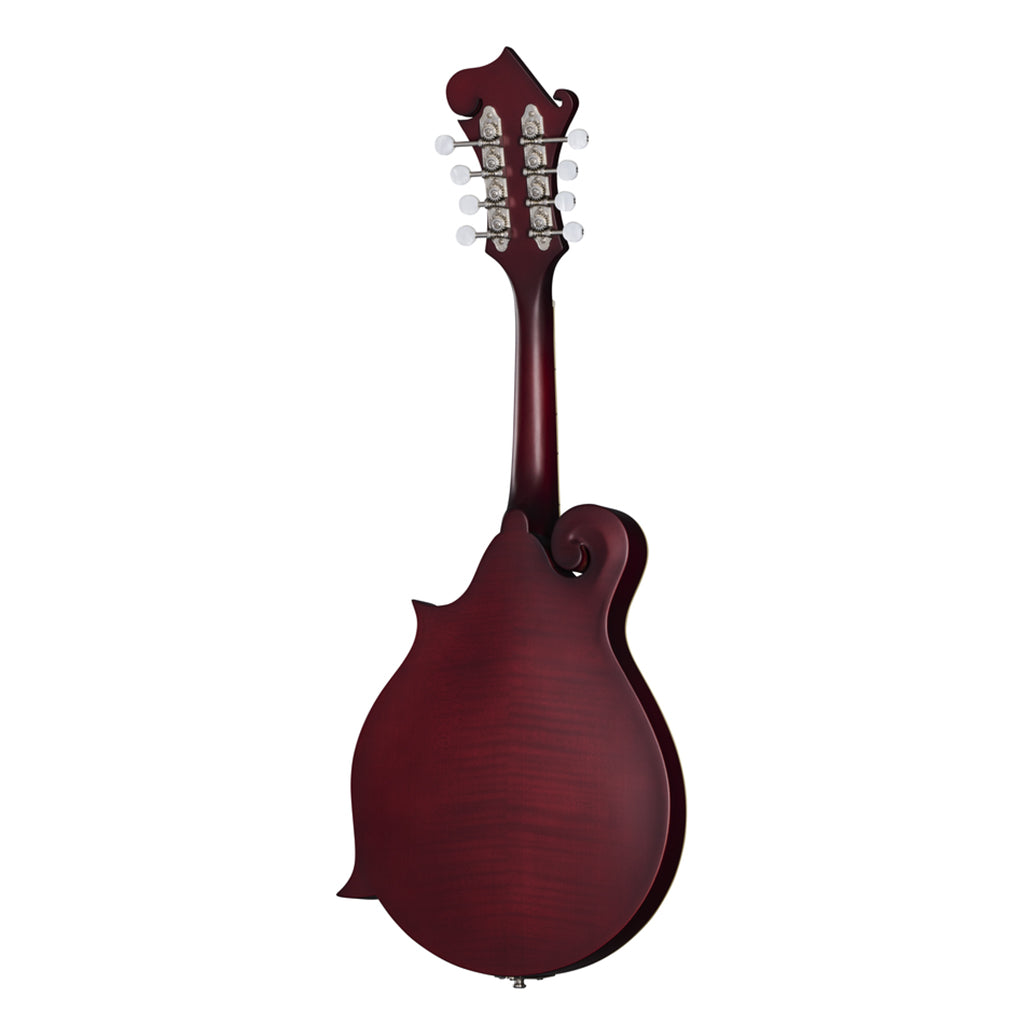 Epiphone F-5 Studio Mandolin Wine Red Satin - Image 3