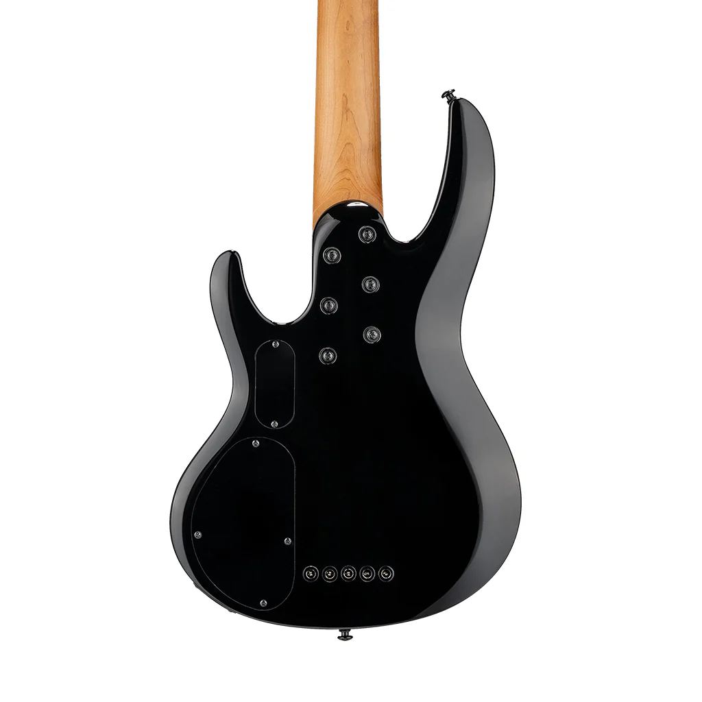 ESP LTD B-205DX 5-String Bass Guitar - Black Burst - Image 2