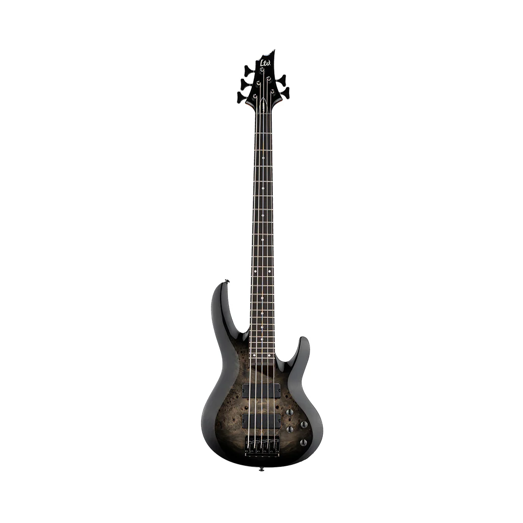 ESP LTD B-205DX 5-String Bass Guitar - Black Burst - Image 3