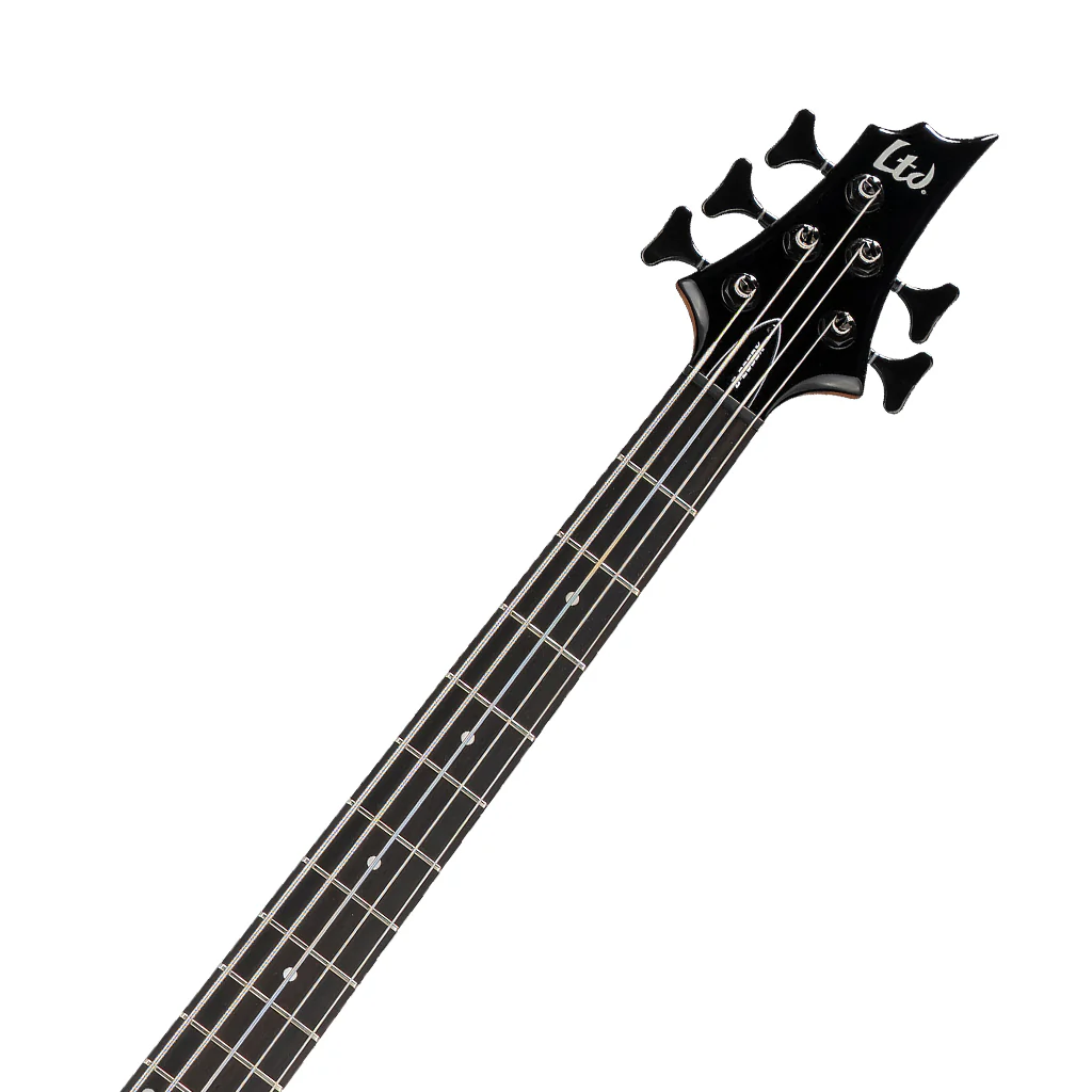 ESP LTD B-205DX 5-String Bass Guitar - Black Burst - Image 5
