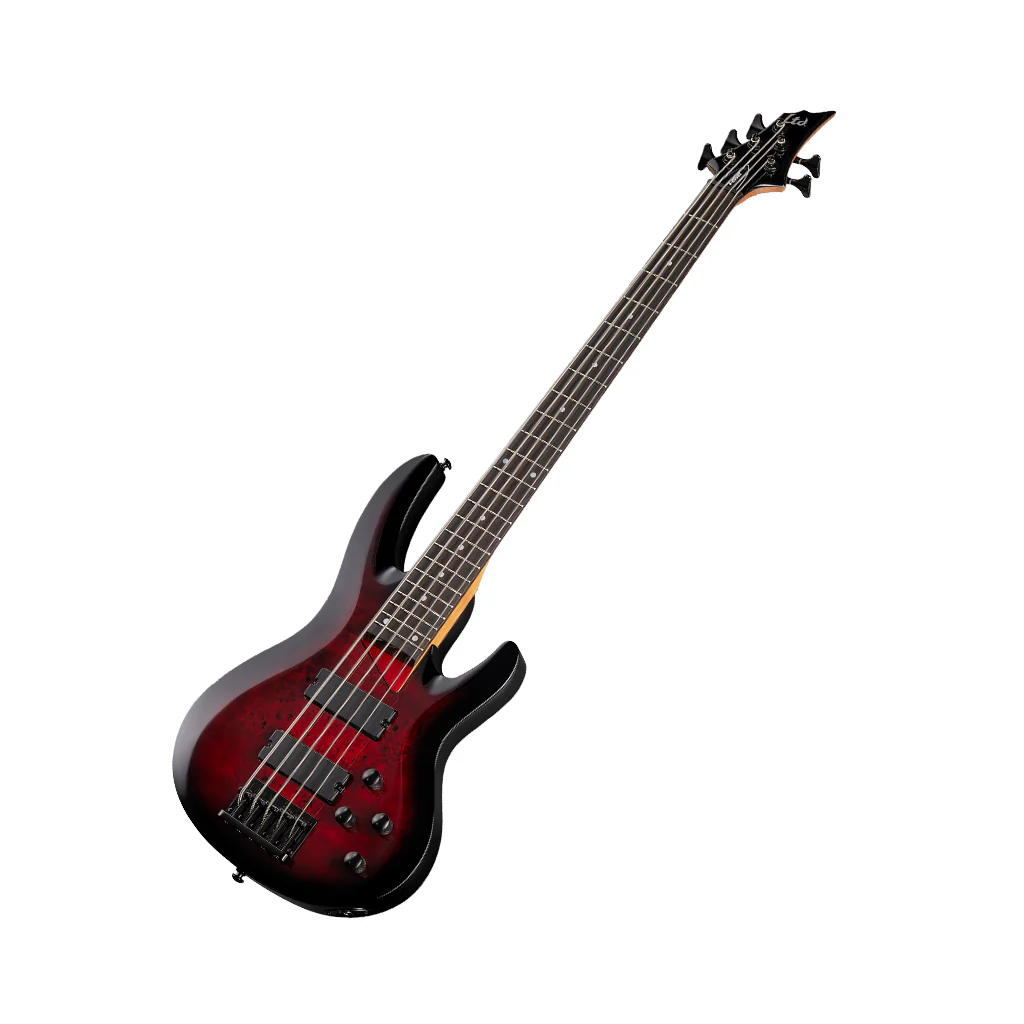 ESP LTD B-205DX 5-String Bass Guitar - Red Burst - Image 7