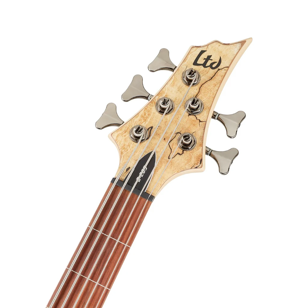 ESP LTD B-205SM 5-String Fretless Bass Guitar - Natural Satin - Image 4
