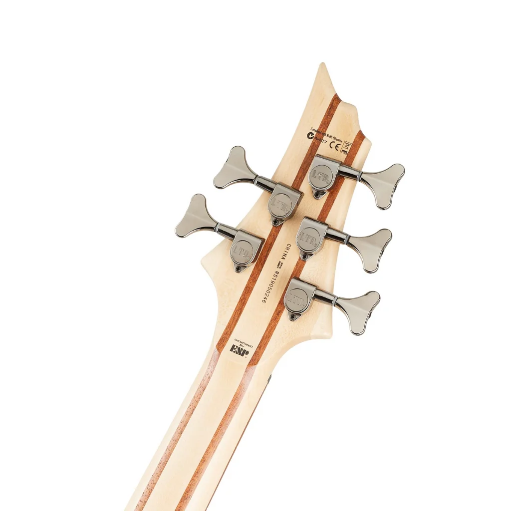 ESP LTD B-205SM 5-String Fretless Bass Guitar - Natural Satin - Image 5