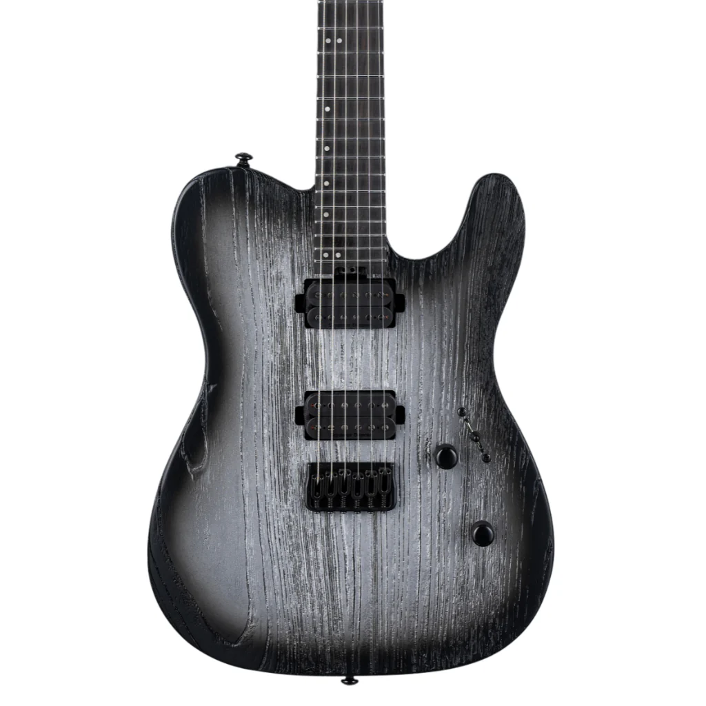 ESP LTD Deluxe TE-1000 Electric Guitar - Silver Blast