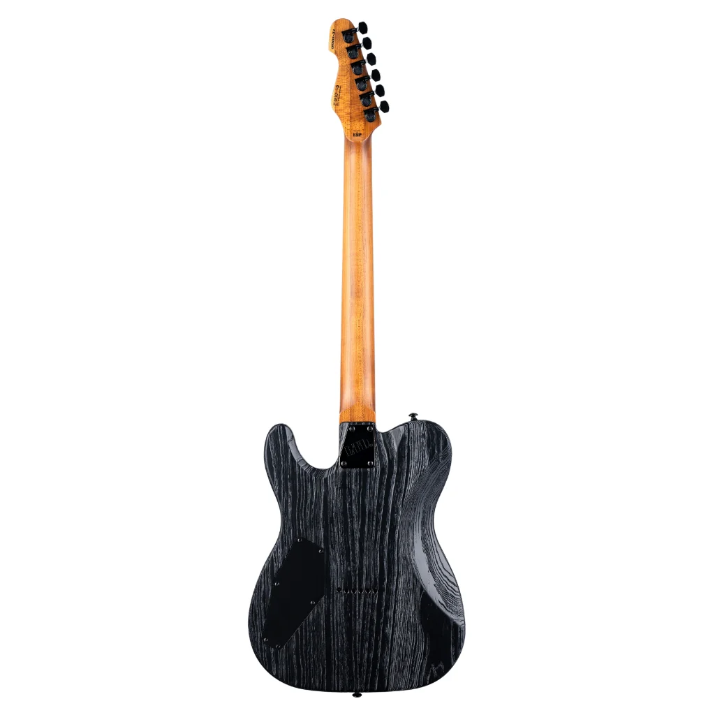 ESP LTD Deluxe TE-1000 Electric Guitar - Silver Blast - Image 4
