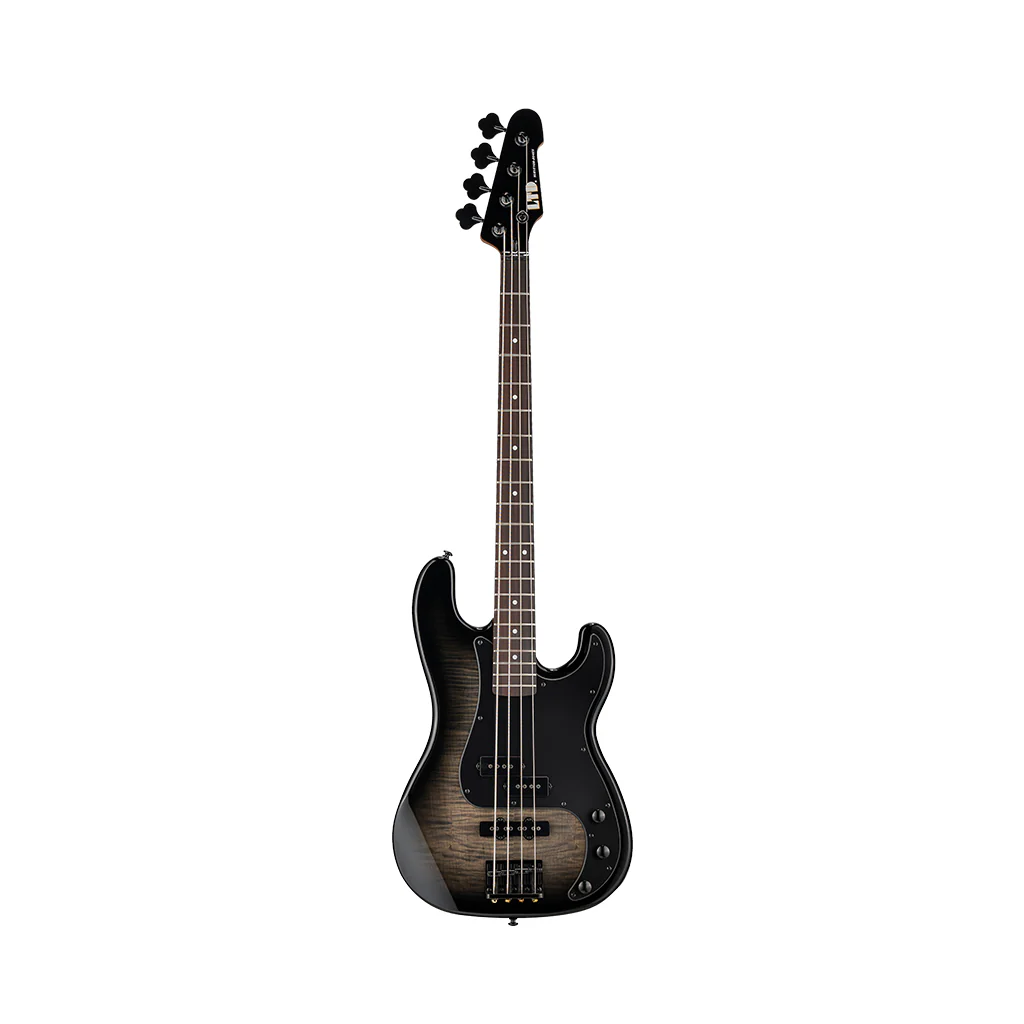 ESP LTD Surveyor 204 Bass Guitar - Black Burst - Image 3