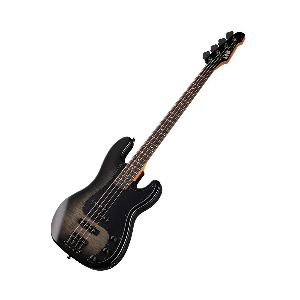 ESP LTD Surveyor 204 Bass Guitar - Black Burst - Image 7