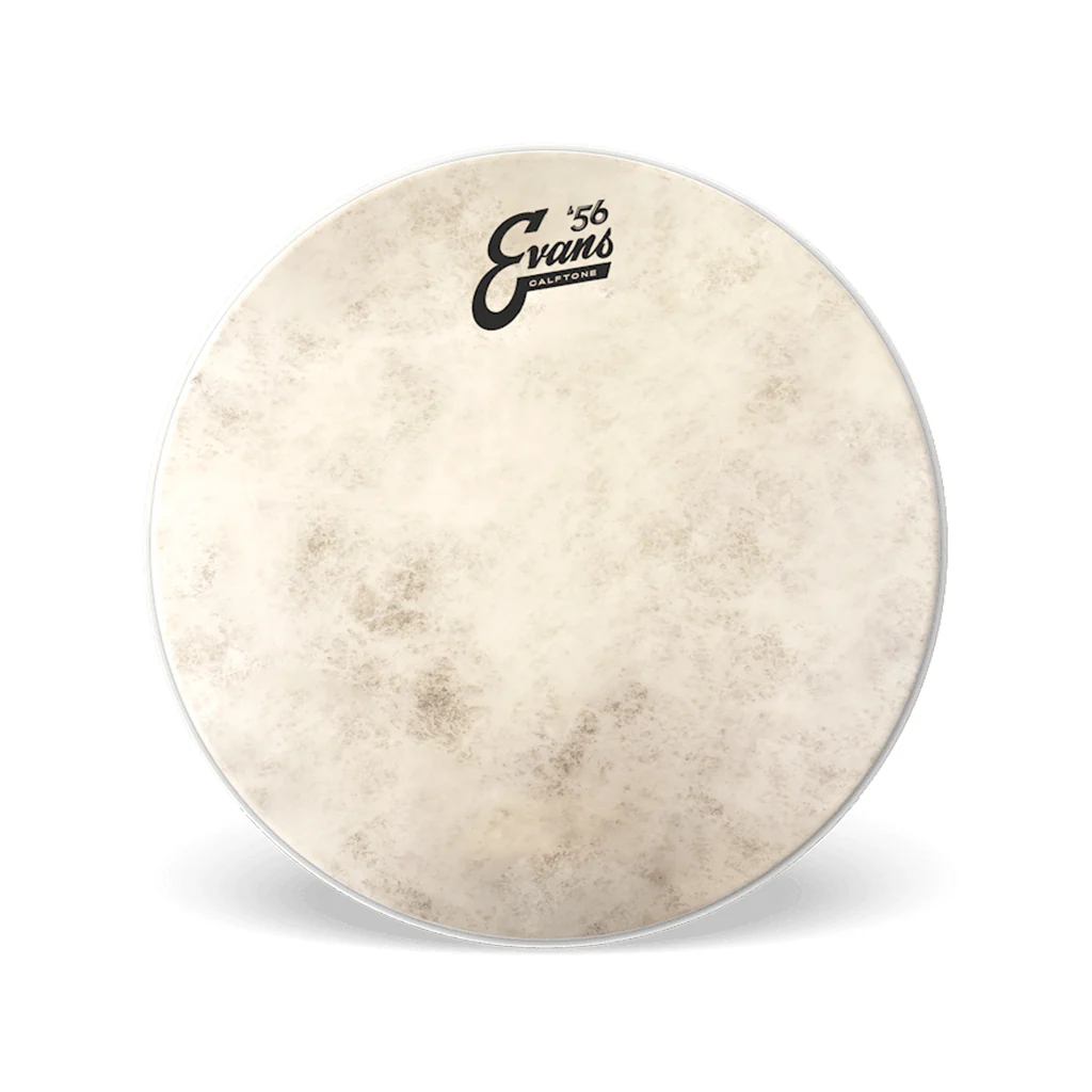 Evans 14" Calftone Snare Tune Up Kit - Image 3