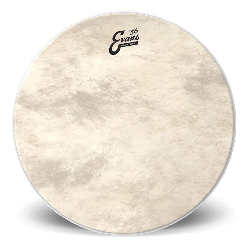 Evans 18" Calftone Bass