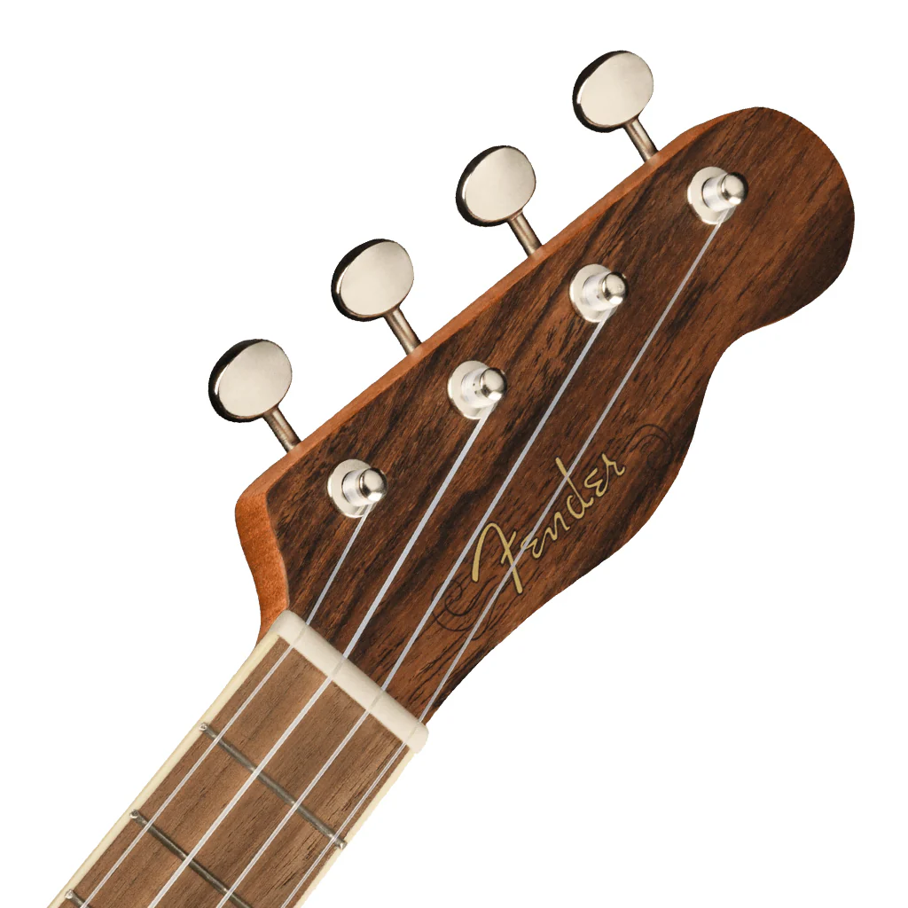 Fender Zuma Exotic Concert Ukulele, Walnut Fingerboard, Bocote - Image 4