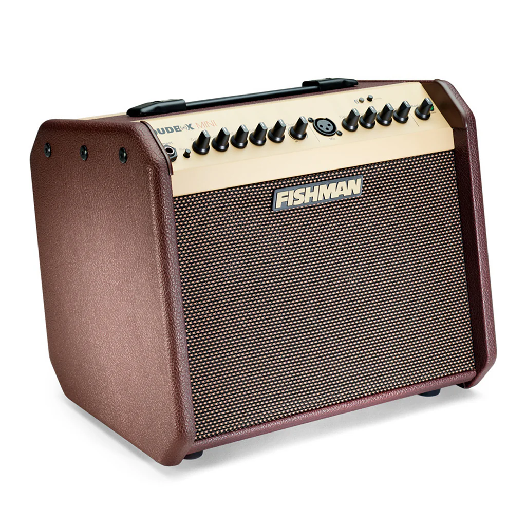 Fishman - Loudbox Mini With Bluetooth 60W - Acoustic Amplifier - Image 4