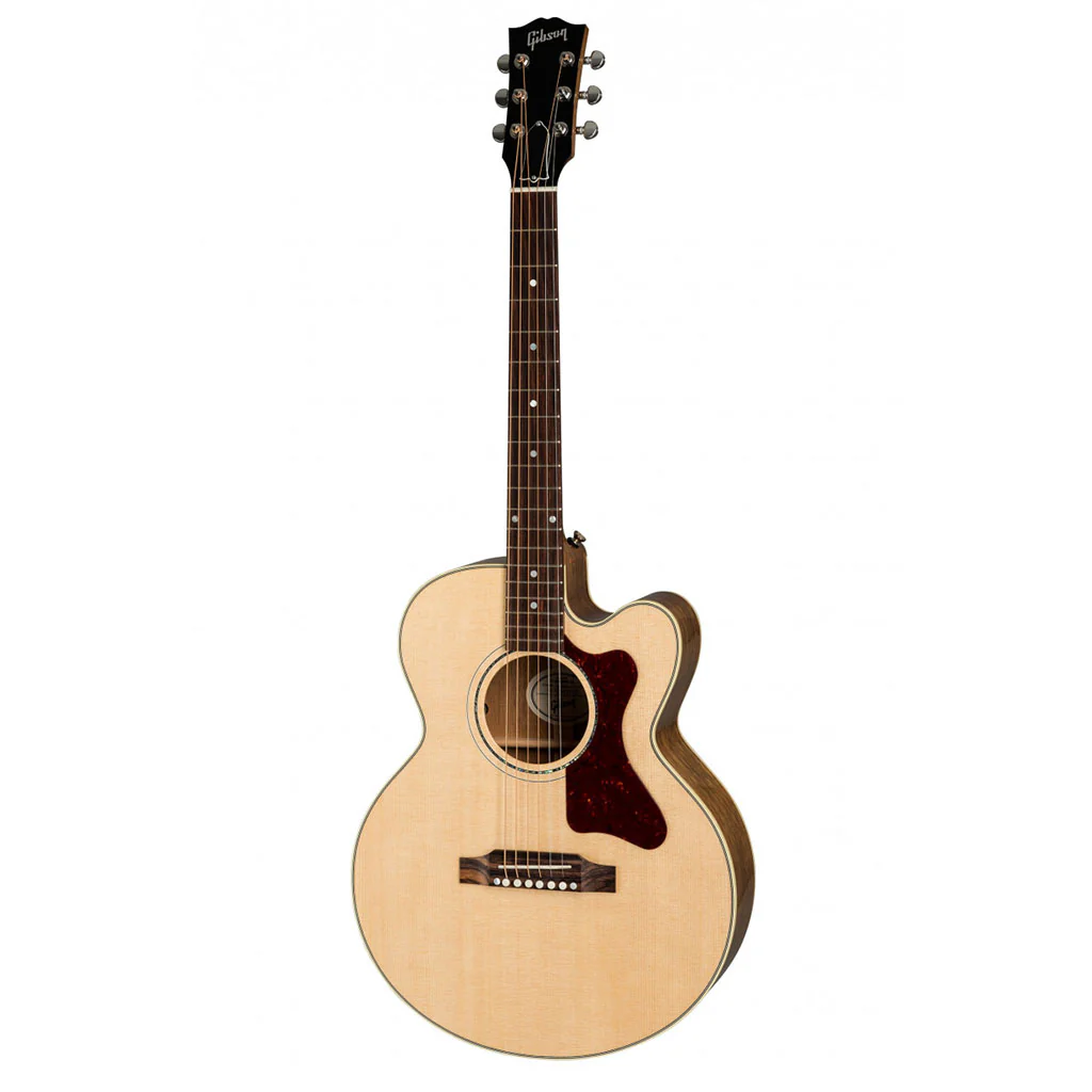 Gibson Parlour AG - Antique Natural - Image 2