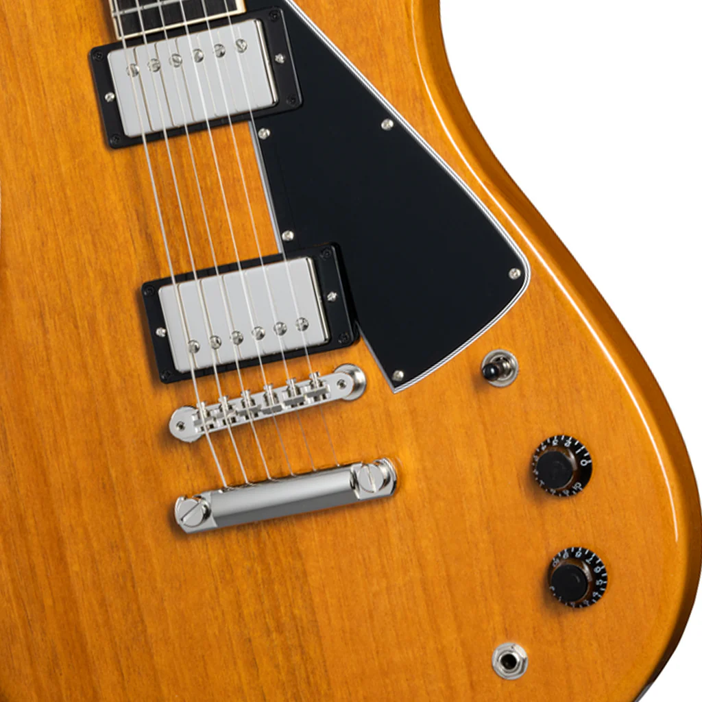Gibson Theodore Standard Antique Natural - Image 6