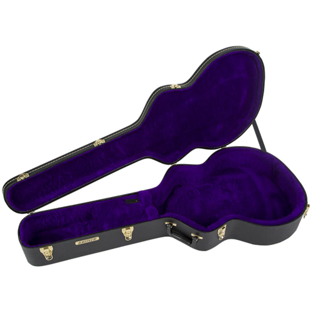 Gretsch G6302 Extra Long Jumbo (12 String) Flat Top Acoustic Case - Image 2