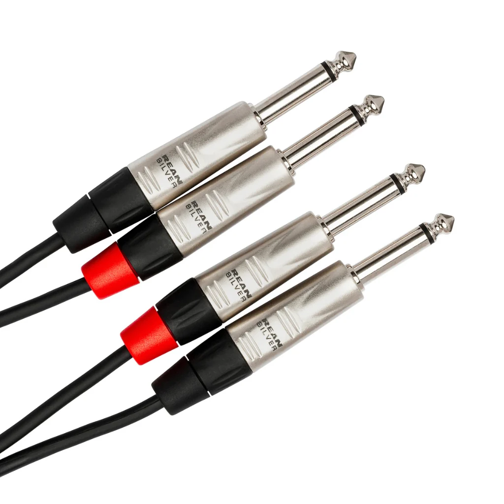 Hosa Technology Dual REAN 1/4 in TS to Same Pro Stereo Interconnect Cable 3ft - Image 2