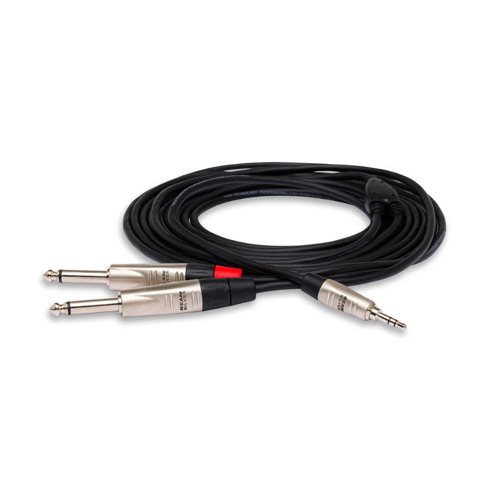 Hosa Technology REAN 3.5 mm TRS to Dual 1/4 in TS Pro Stereo Breakout Cable 10ft