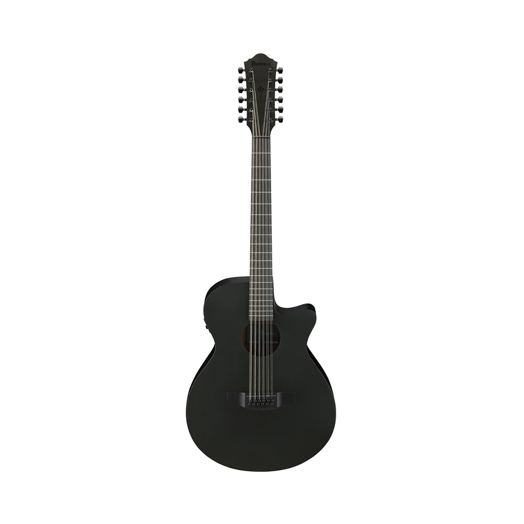 Ibanez AEG1221 12-String Acoustic Guitar w/Pickup - Black Out - Image 3