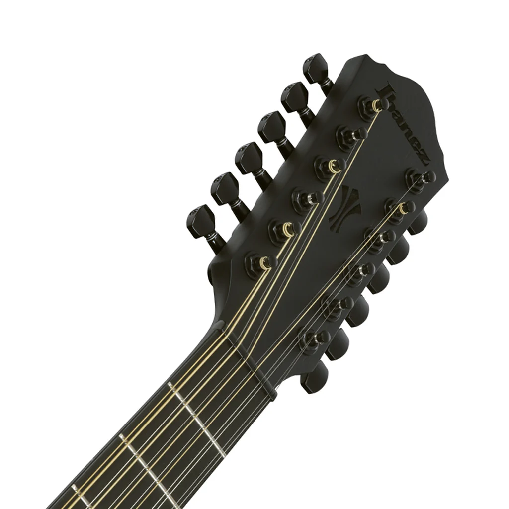 Ibanez AEG1221 12-String Acoustic Guitar w/Pickup - Black Out - Image 5