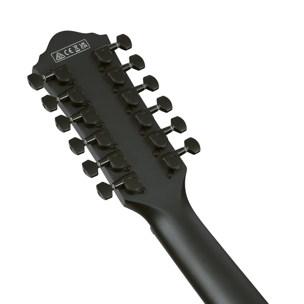 Ibanez AEG1221 12-String Acoustic Guitar w/Pickup - Black Out - Image 6