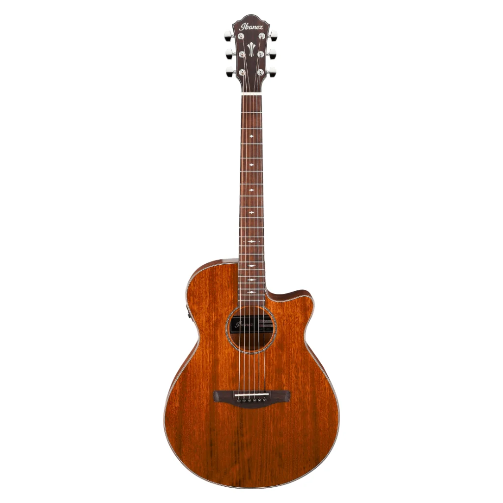 Ibanez AEG220 AEG Acoustic Guitar - Natural Low Gloss - Image 2
