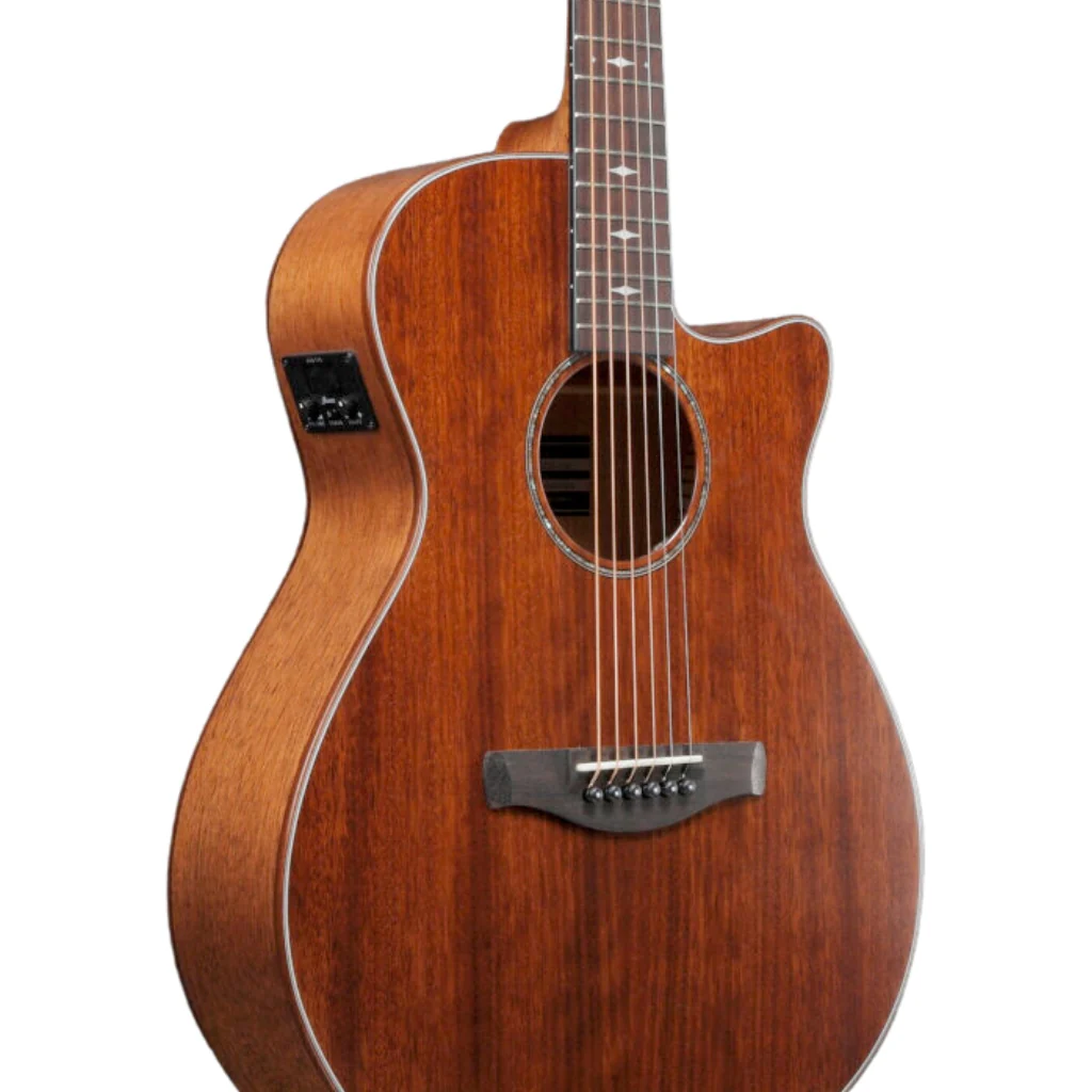 Ibanez AEG220 AEG Acoustic Guitar - Natural Low Gloss - Image 7