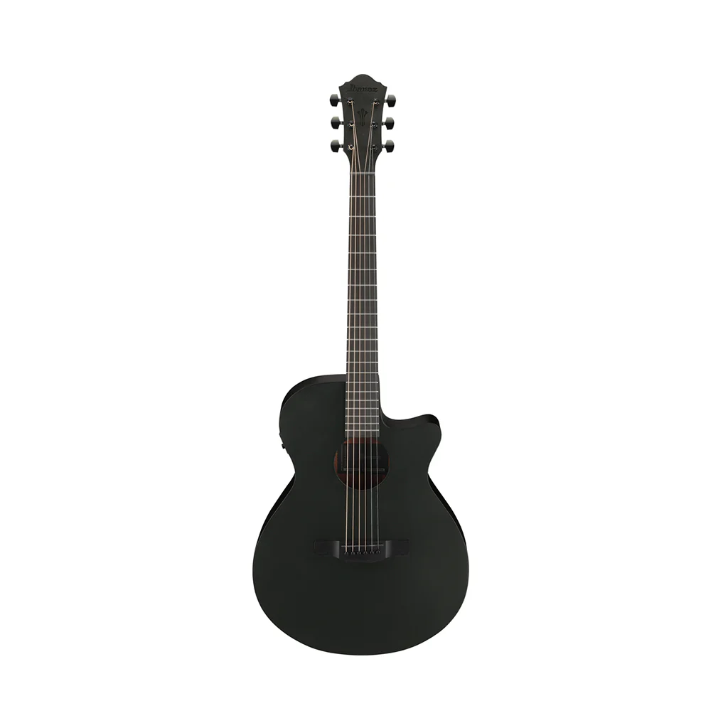 Ibanez AEG621 Acoustic Guitar w/Pickup - Black Out - Image 3