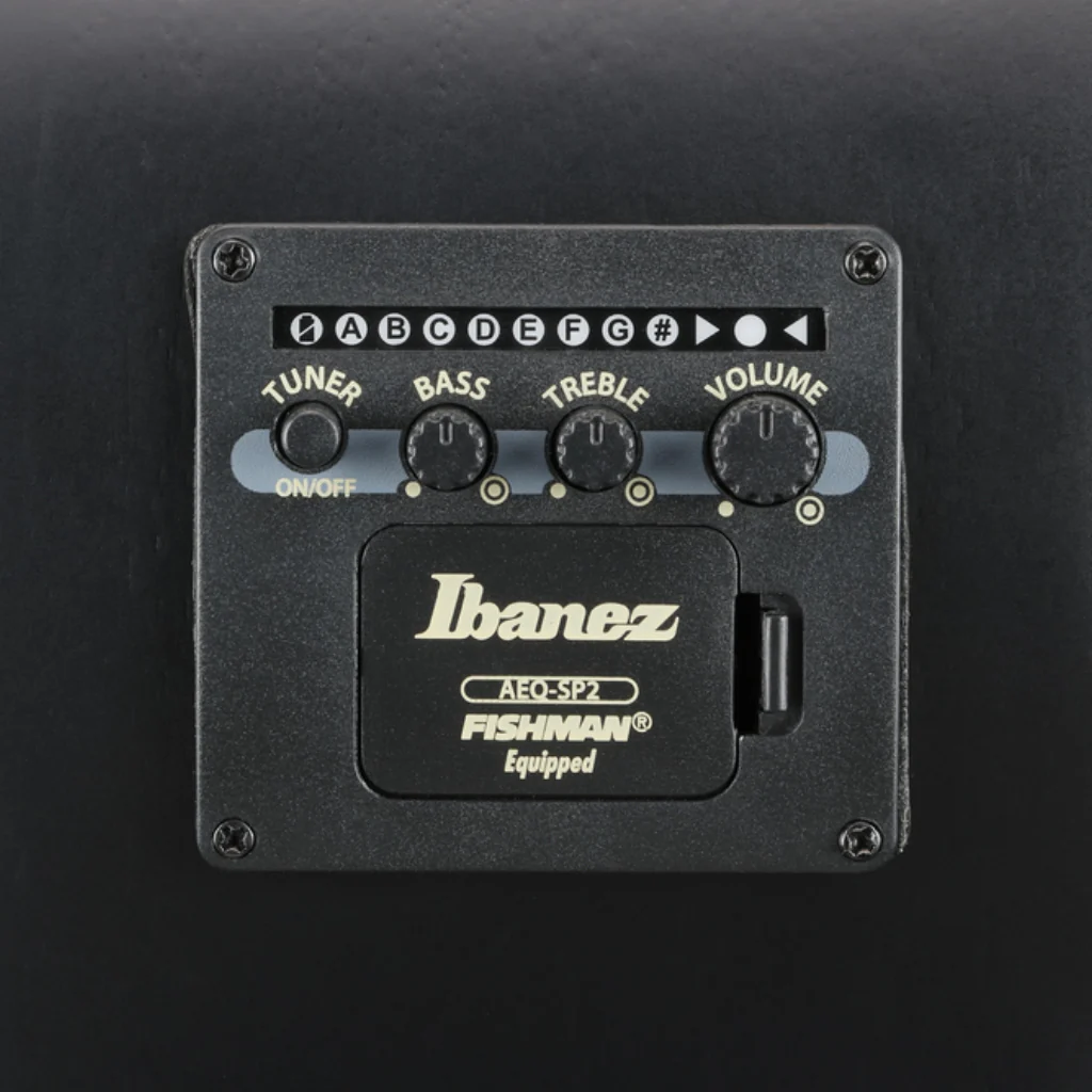 Ibanez AEG721 7-Strings Acoustic Guitar - Black Out - Image 11