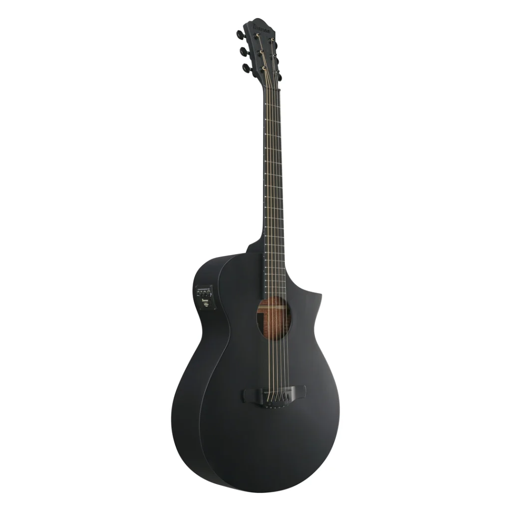 Ibanez AEWC621 Acoustic Guitar - Black Out - Image 5