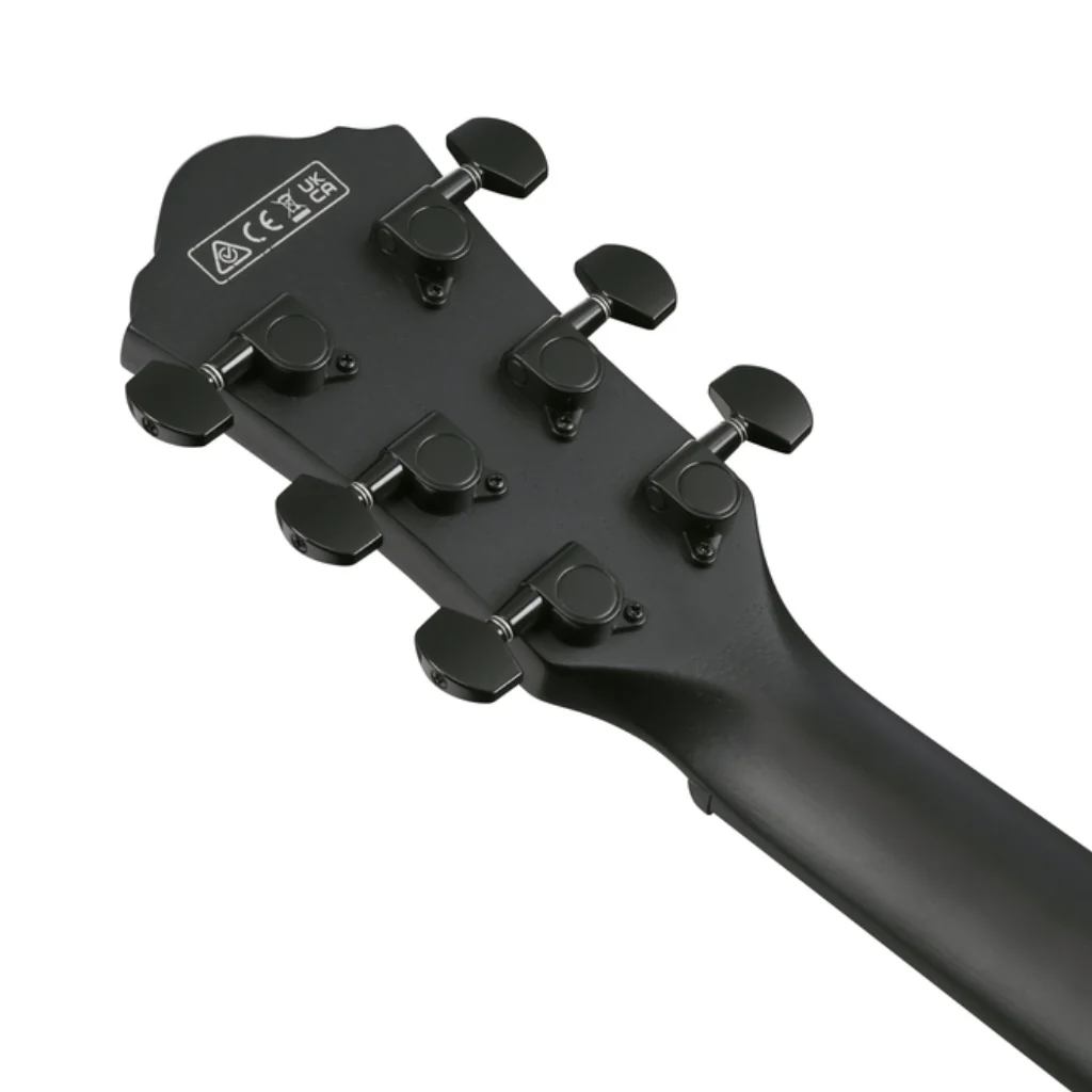 Ibanez AEWC621 Acoustic Guitar - Black Out - Image 7