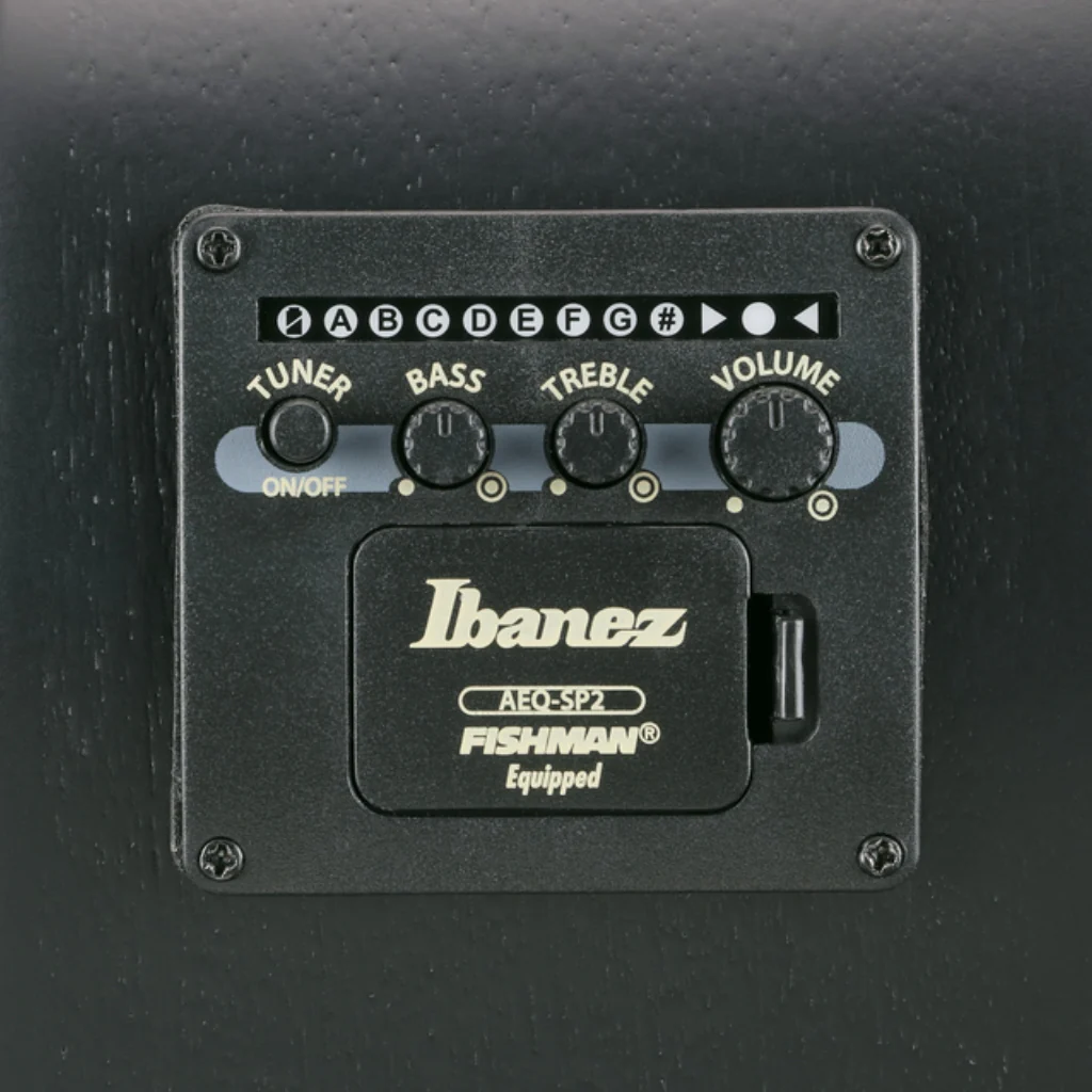Ibanez AEWC621 Acoustic Guitar - Black Out - Image 9